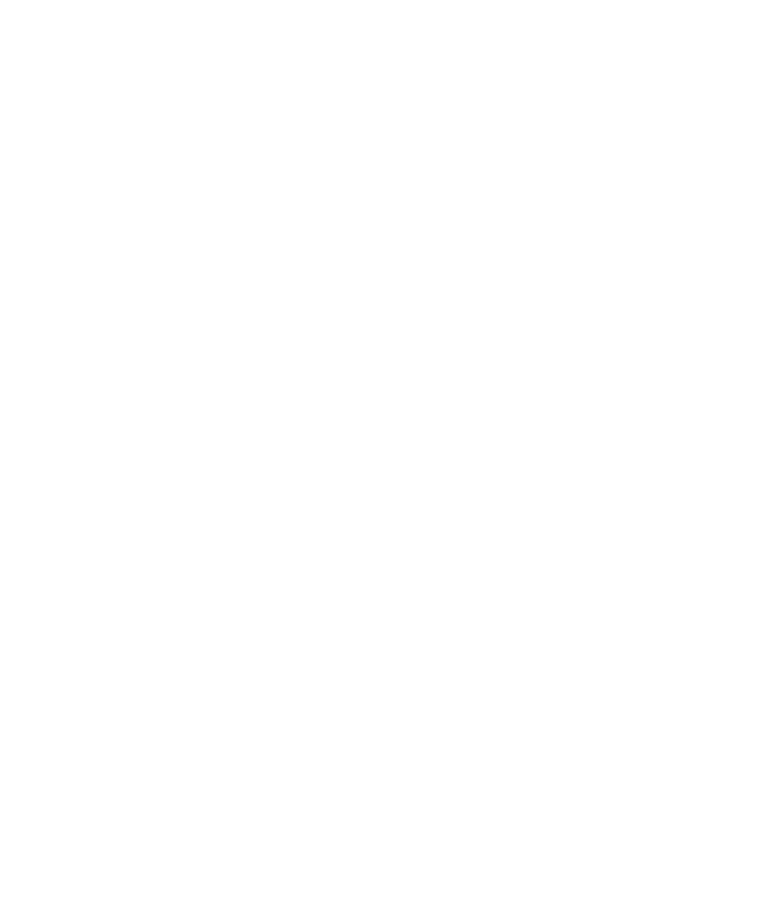 The Florida Bar Board Certified in Business Litigation